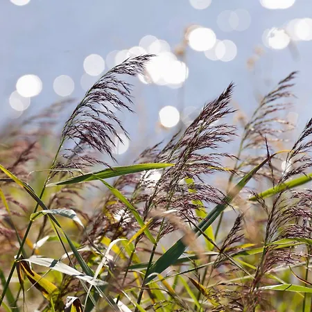 Hinrichs 3* Carolinensiel